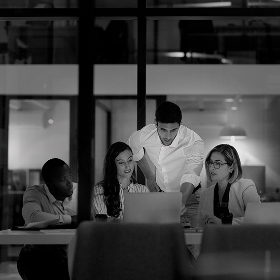 ANPE Brescia - Chi siamo